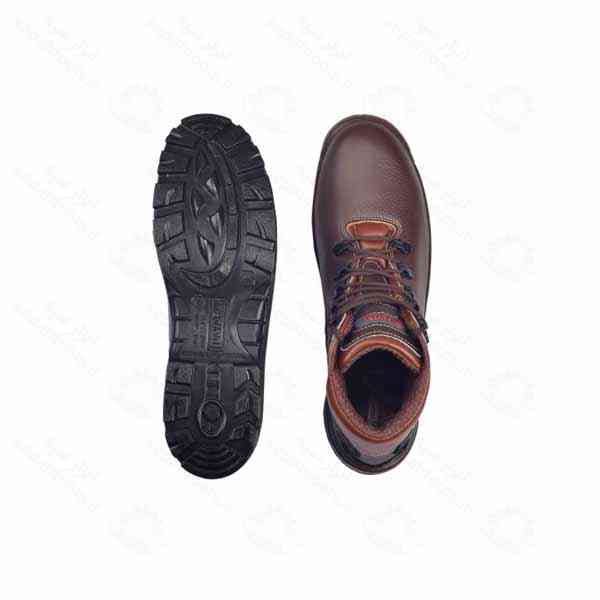 پوتین ایمنی پژواک