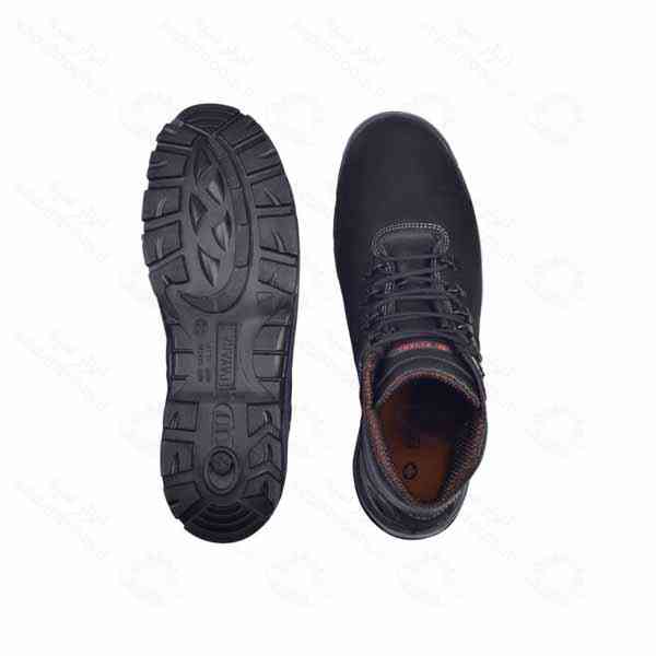 پوتین ایمنی پژواک نبوک