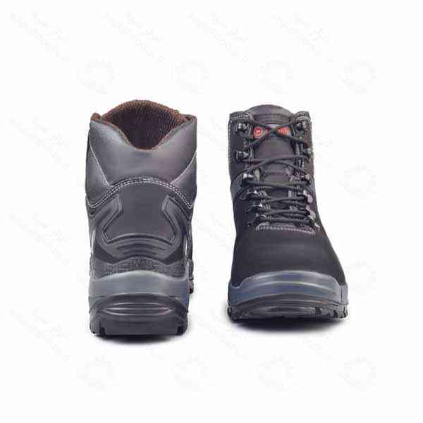 پوتین ایمنی پژواک نبوک