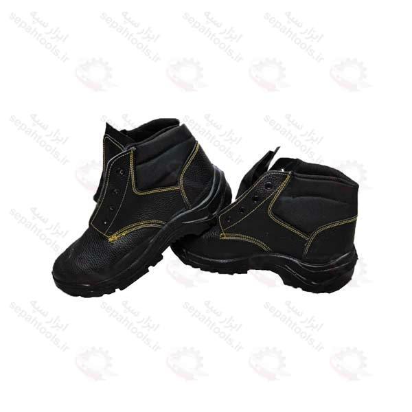 پوتین ایمنی فرزان مدل اکولوژیک