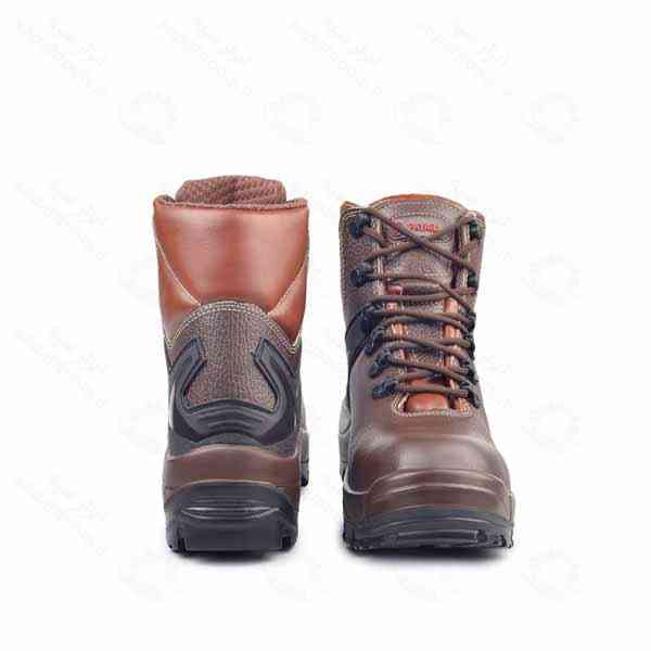 پوتین ایمنی پژواک