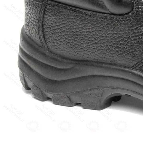 پوتین ایمنی یحیی مدل اکونومیک 09