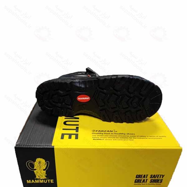 پوتین ایمنی ماموت