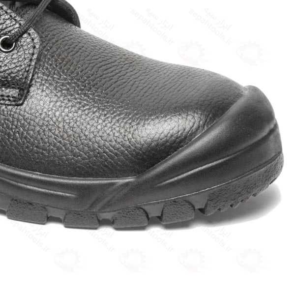 پوتین ایمنی یحیی مدل اکونومیک 09