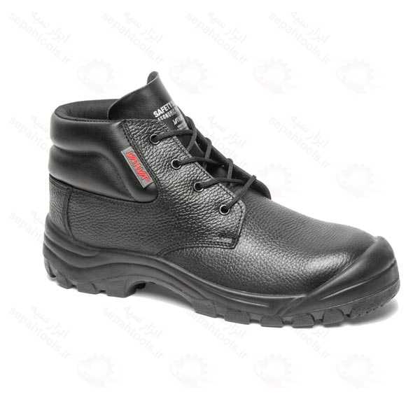 پوتین ایمنی یحیی مدل اکونومیک 09