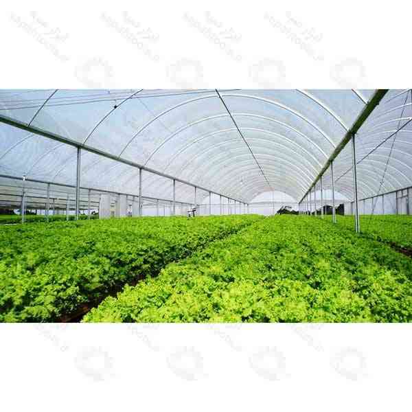 نایلون 8 درصد UV گلخانه ای، نایلون شفاف گلخانه ای، نایلون عریض گلخانه ای